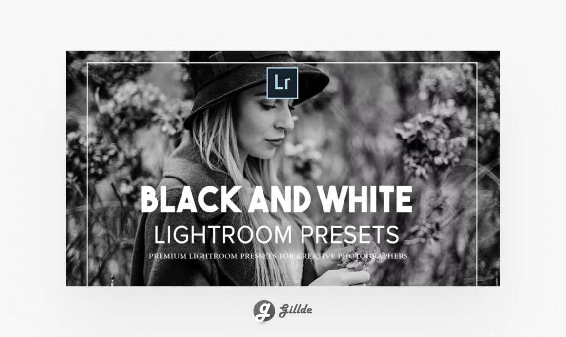 Black and White Lightroom Gillde 6