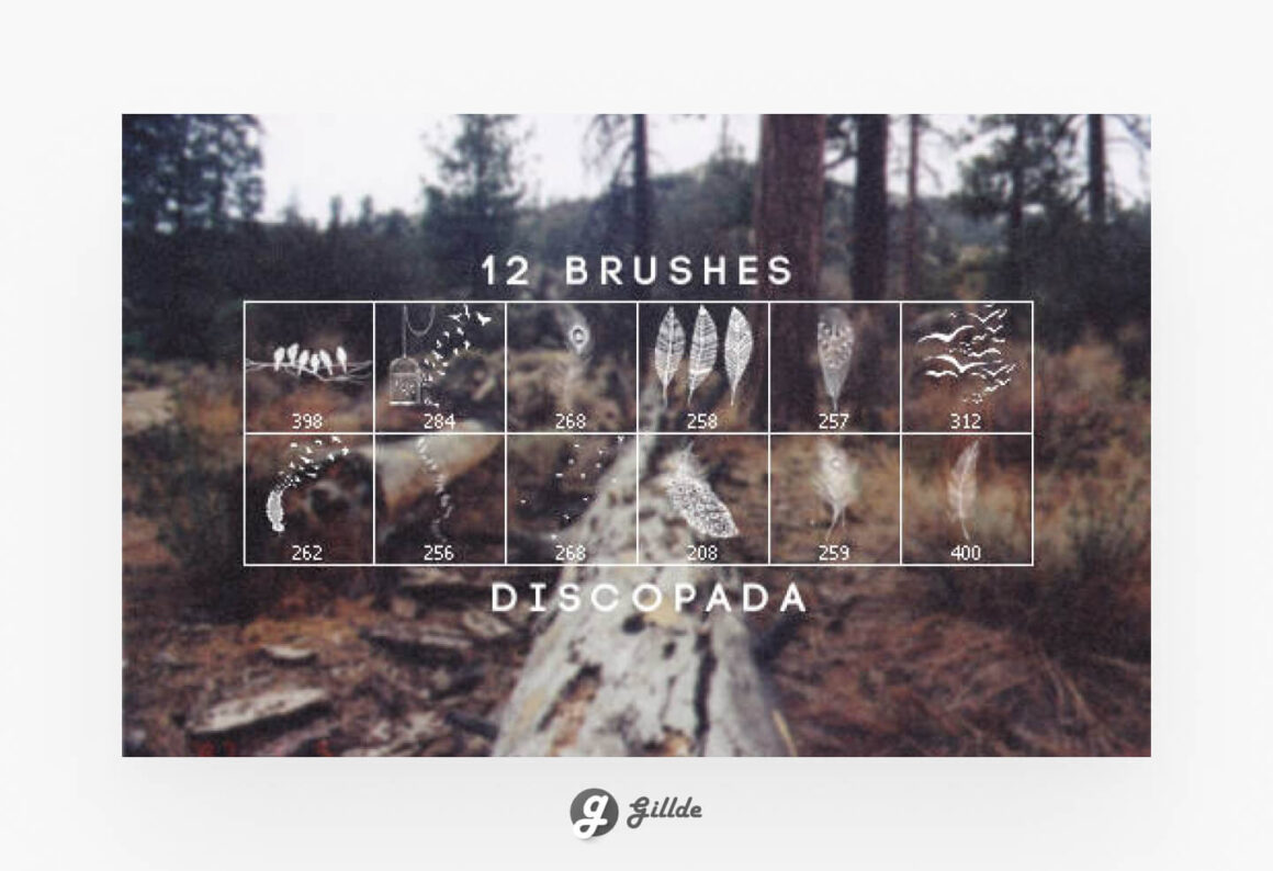 Nature Brushes