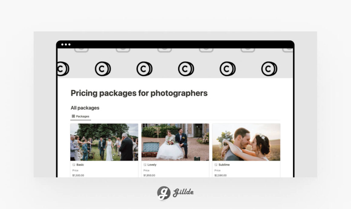 Notion Photography Templates Gillde 6