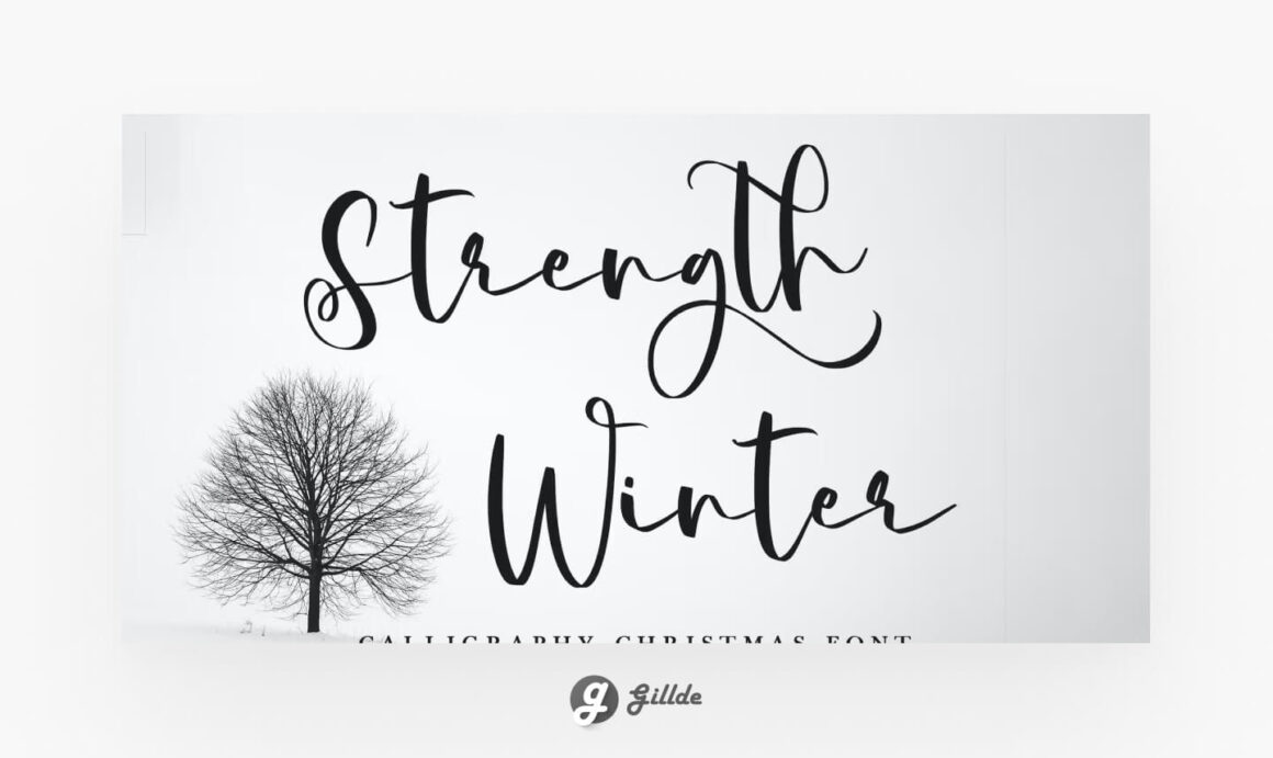 Calligraphy Christmas Font