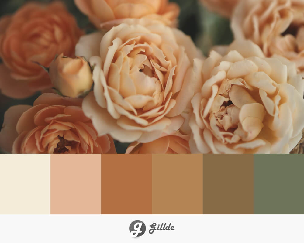 Cream and Green Color Palette