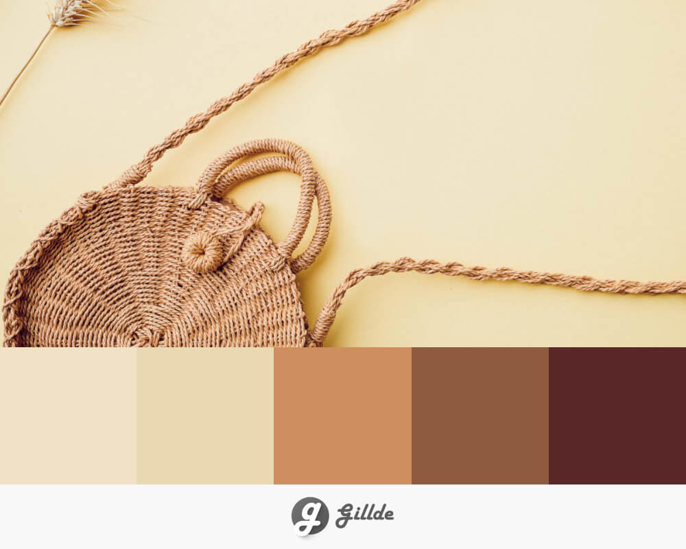Cream and Beige Color Palette