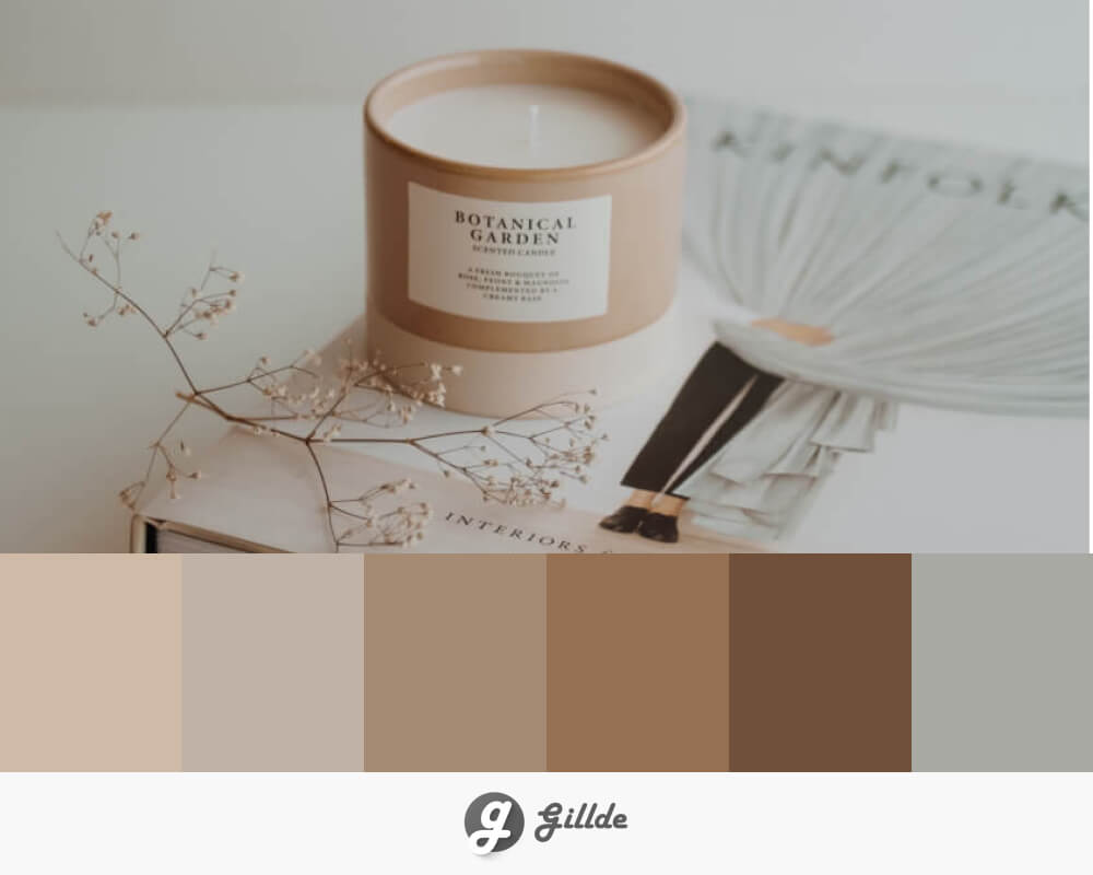 Cream and Grey Color Palette
