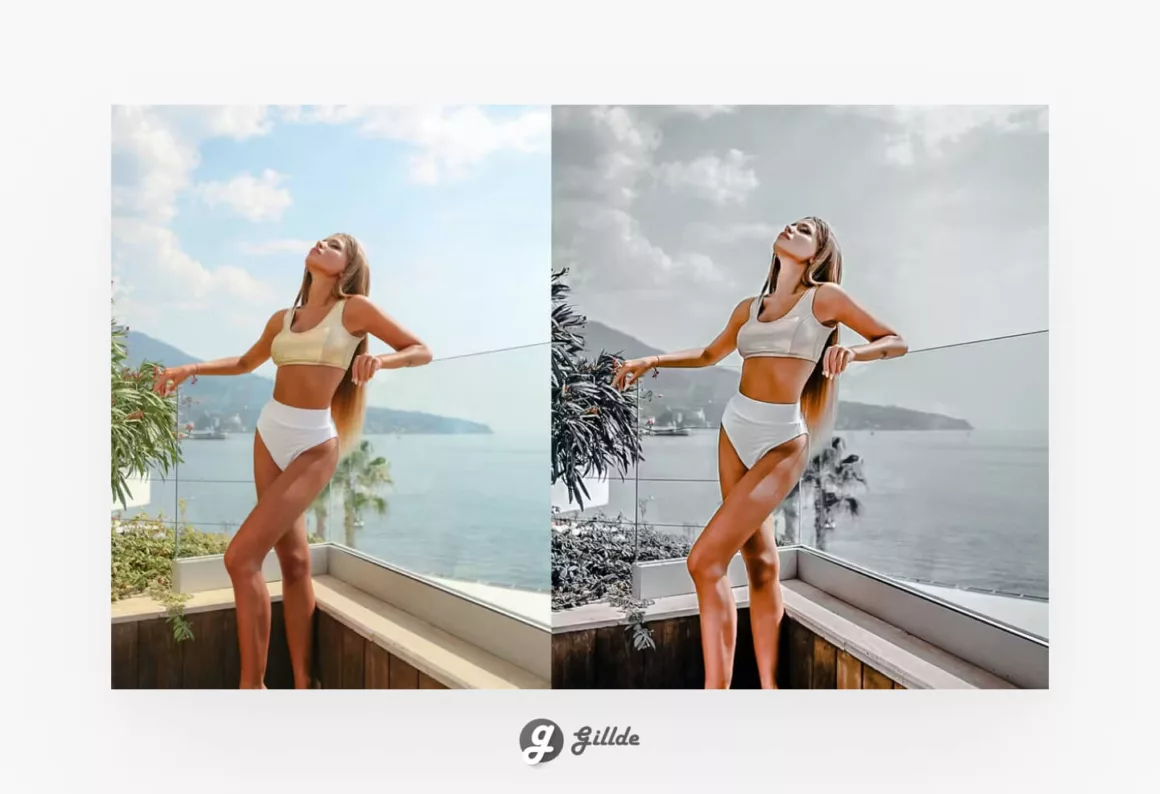 Gray Lightroom Preset