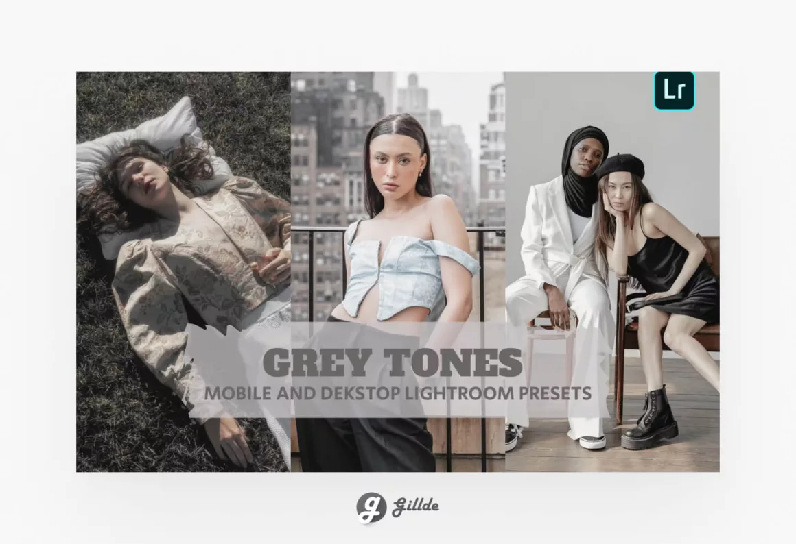 Gray Lightroom Preset