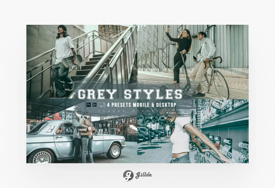 Grey Styles Lightroom