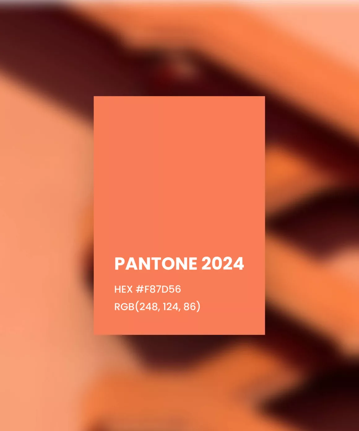 Pantone Color for 2024