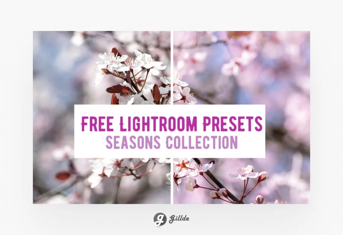 Free Lightroom Presets