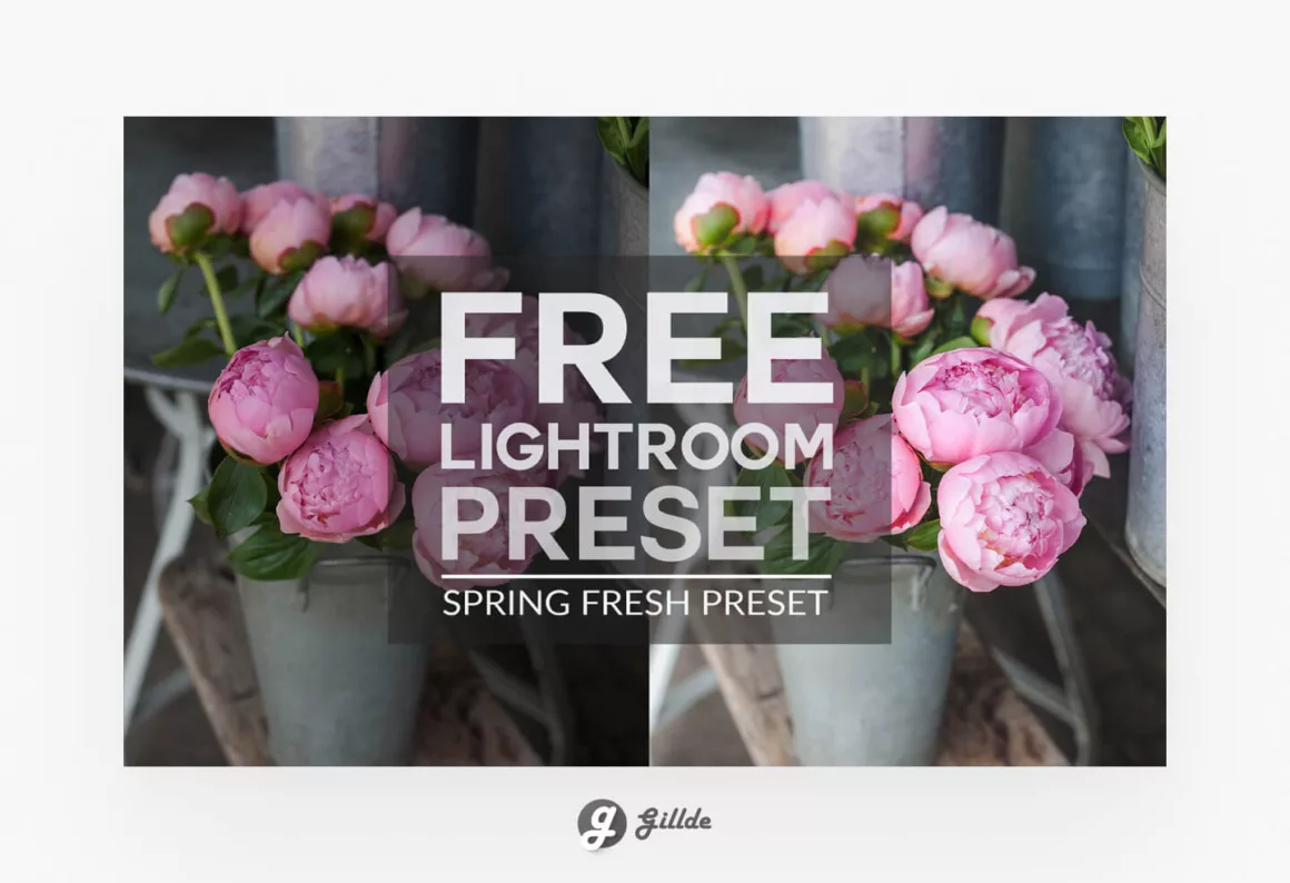 Free Lightroom Preset