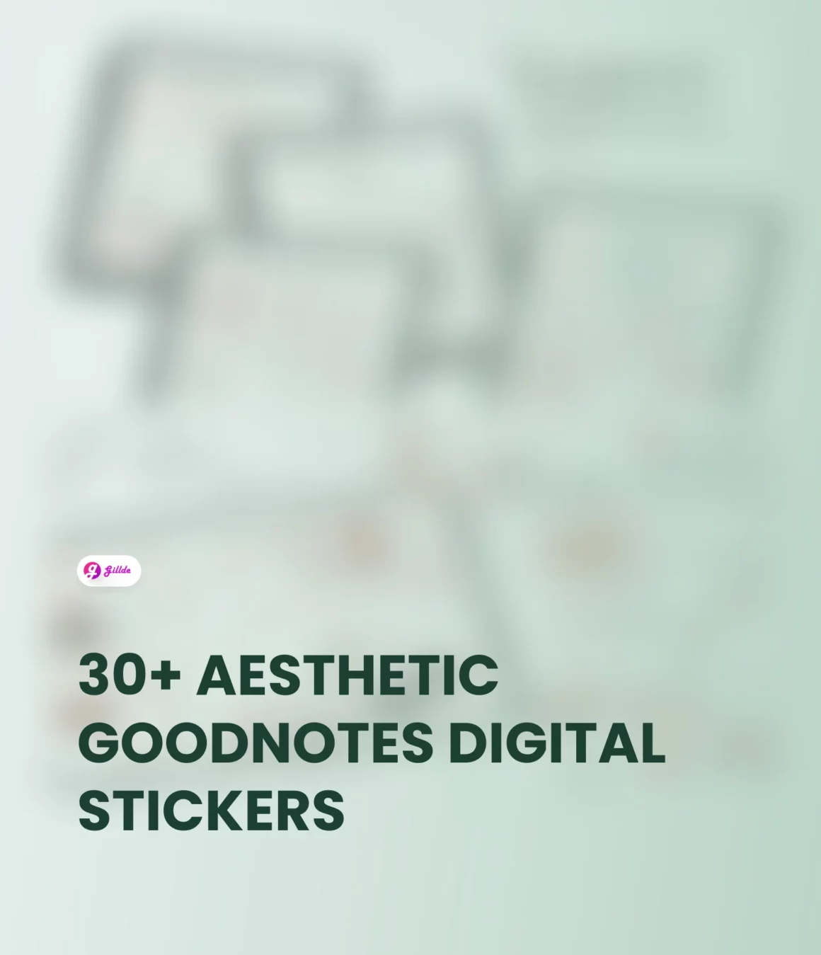 Aesthetic GoodNotes Digital Stickers