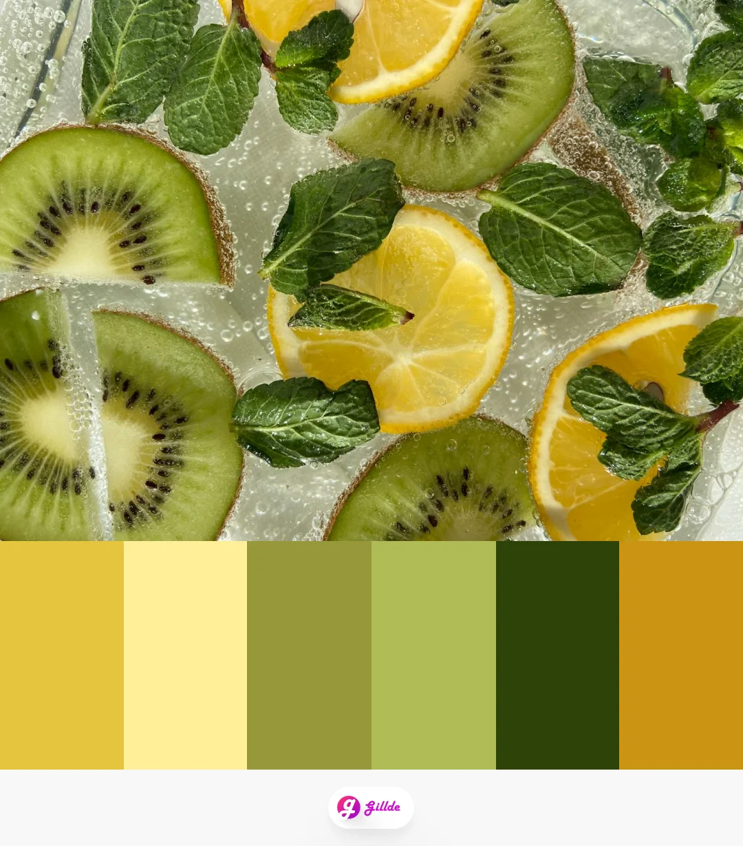 Color palette of summer fruits