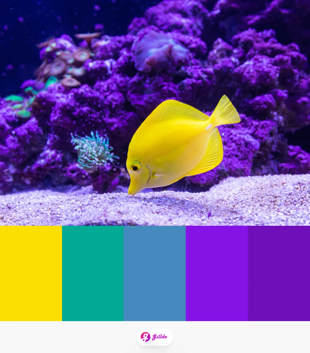 Purple & Yellow Color Palettes