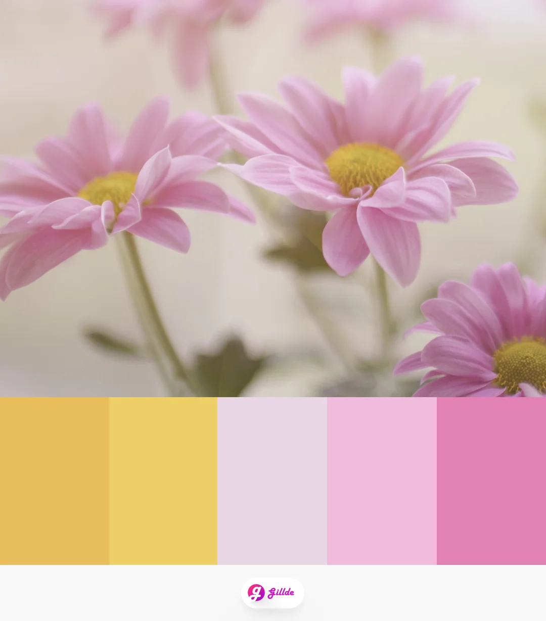 pink & Yellow Color Palette