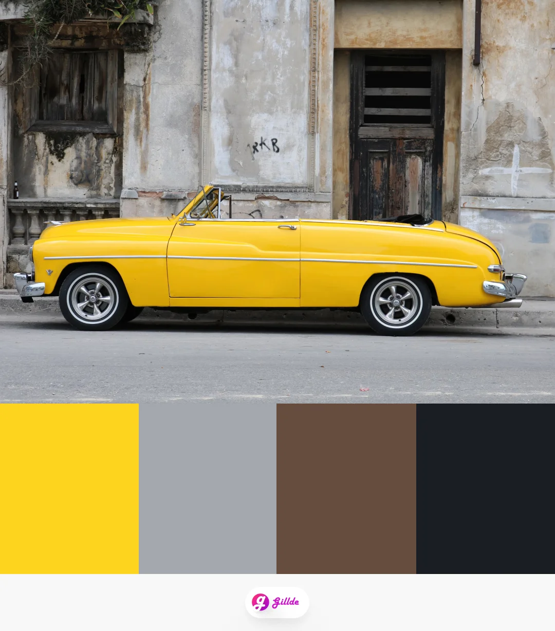 Gray & Yellow Color Palette