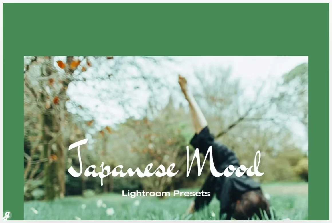 Japanese Mood Lightroom Presets