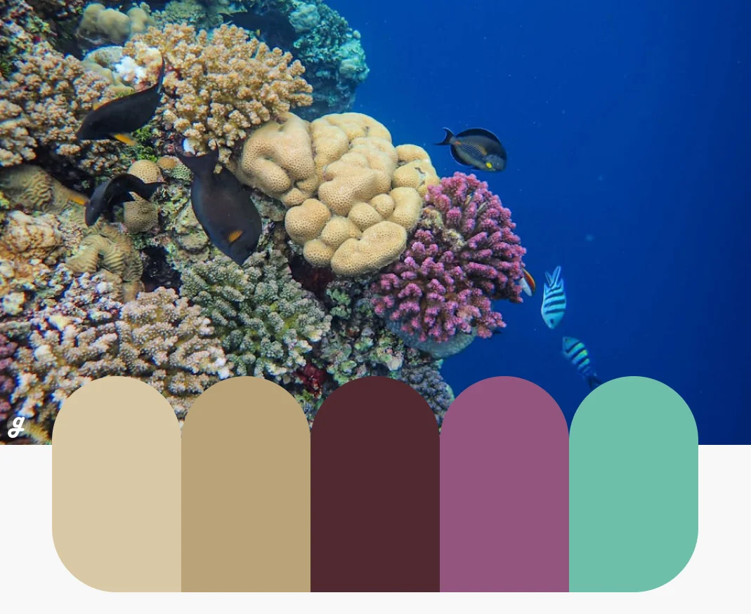 Reef Revival Color Palettes