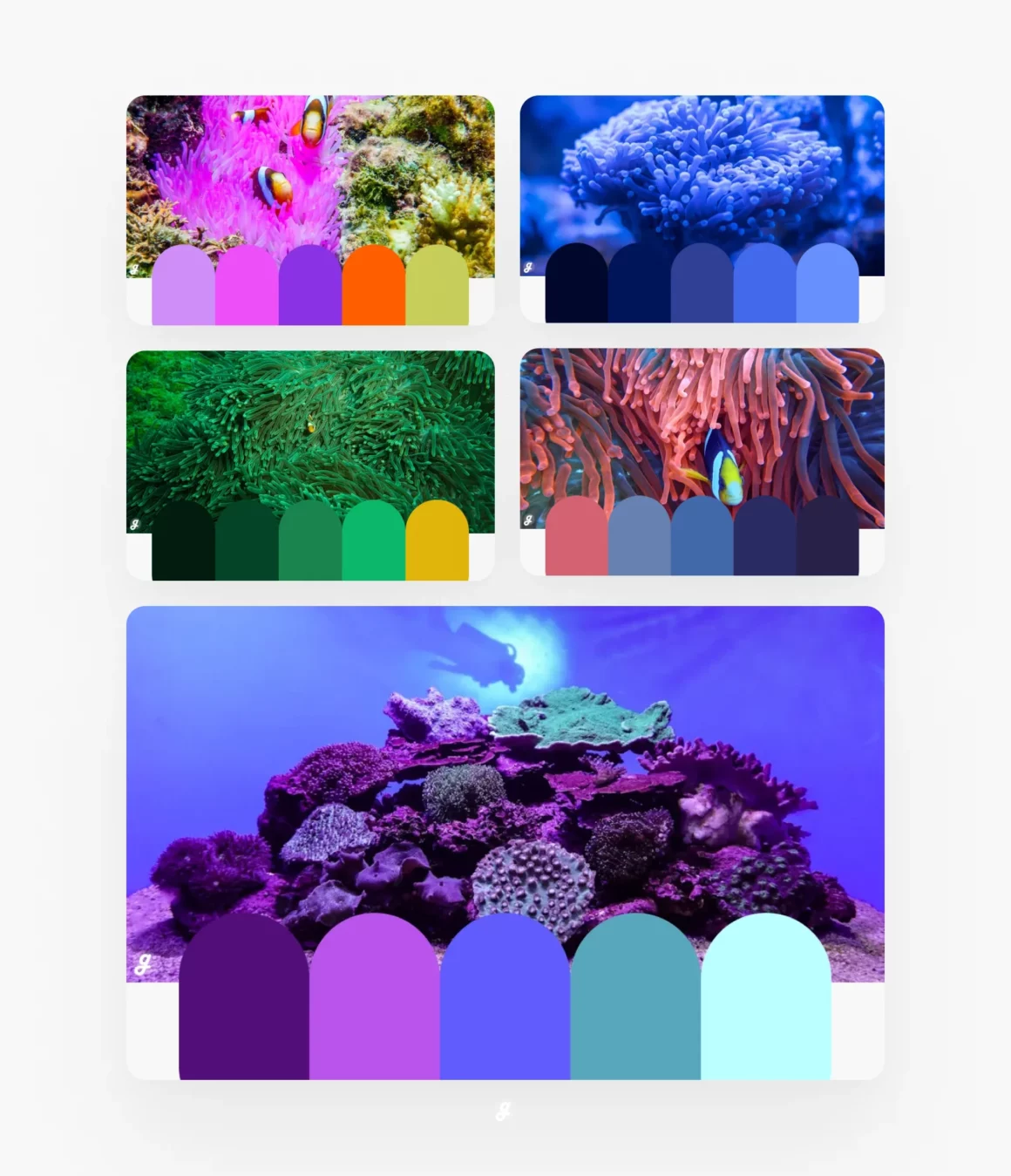 Stunning Free Color Palettes Inspired by Sea Coral Reefs