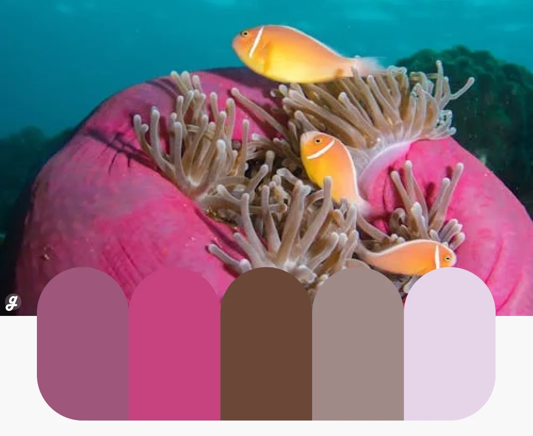 Marine Magic Color Palettes