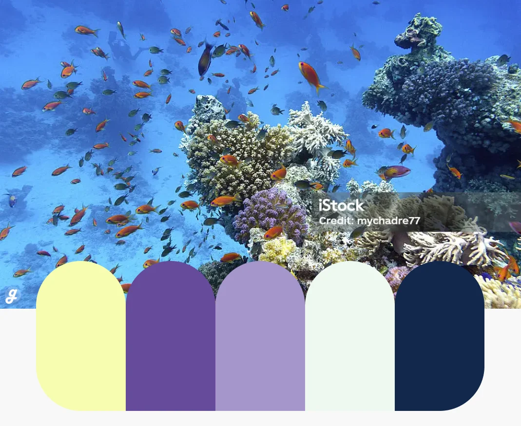 Ocean Depths Color Palettes