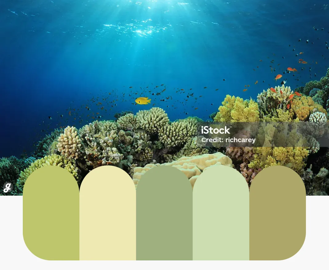 Reef Radiance Color Palettes