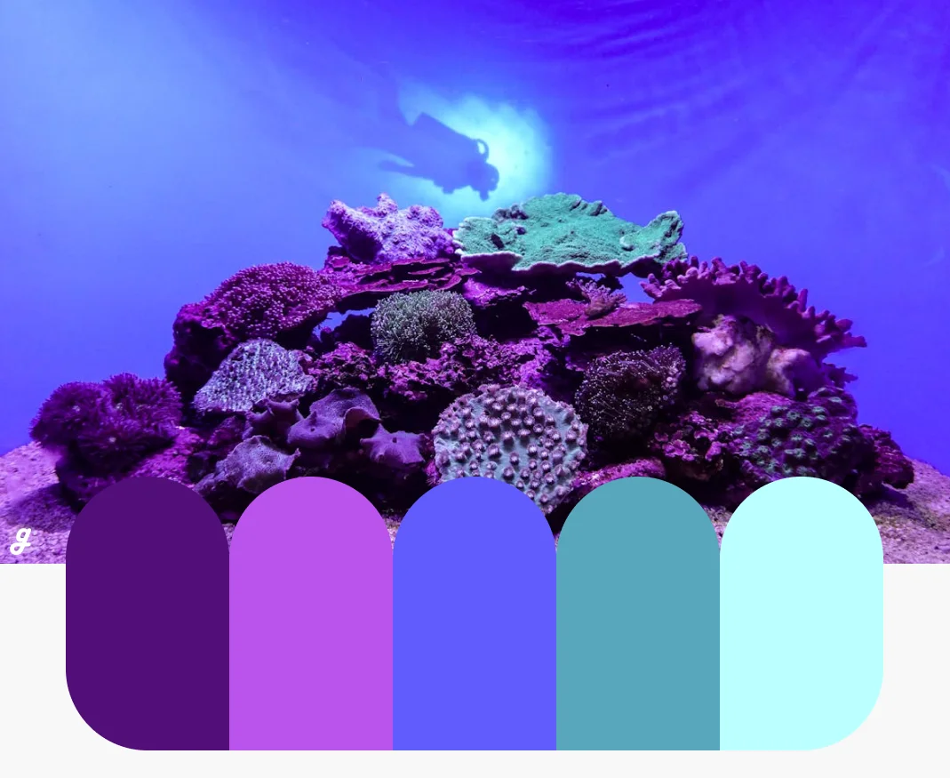 Ocean Whisper Color Palettes